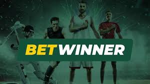 BetWinner Romania Your Ultimate Guide to Online Betting 2062646564