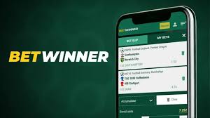 Explore the Features of BetWinner Bookmaker for Your Betting Needs