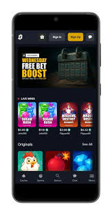 Mastering E-Cricket Betting Bankroll Management Essentials